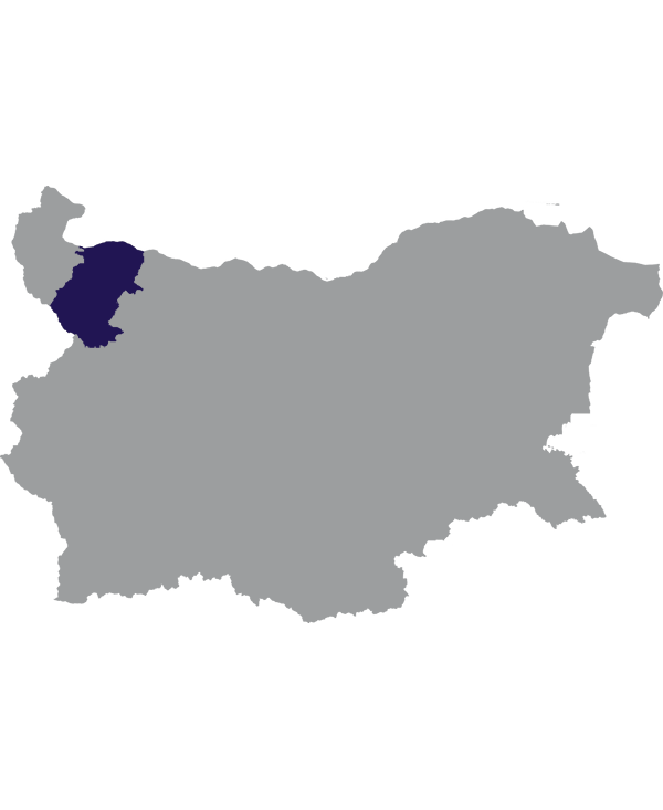 Landkaart Bulgarije grijs met oblast Montana donkerblauw op transparante achtergrond - 600 * 733 pixels